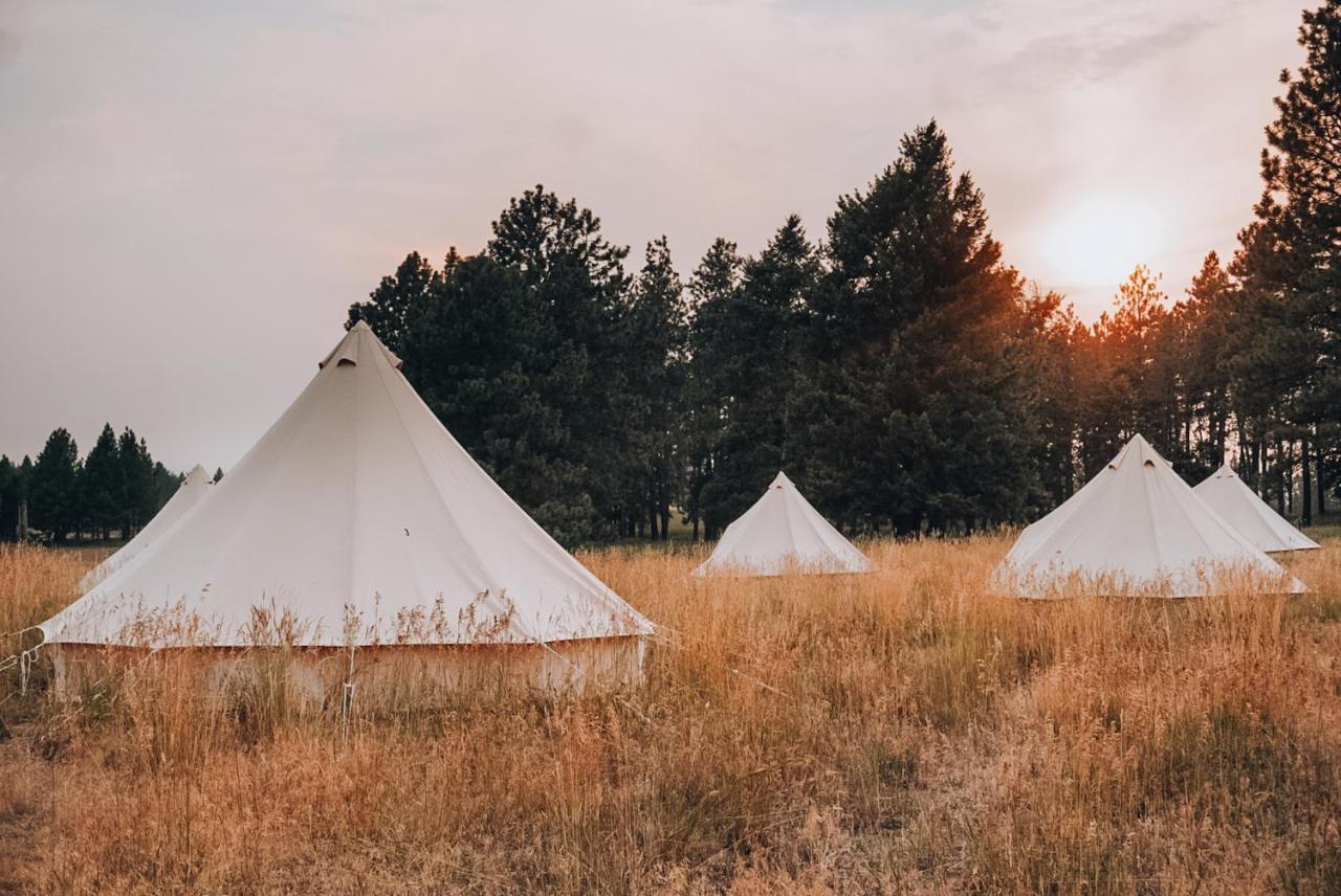 ホテル Wander Camp Glacier Coram エクステリア 写真